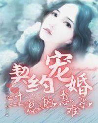 契约宠婚:叶总的意难平