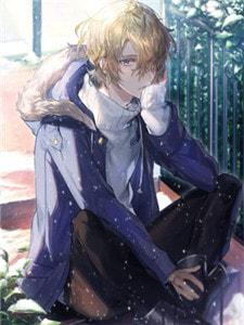 王者神婿任小飞