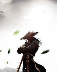 主角苏菲老刘笔趣阁